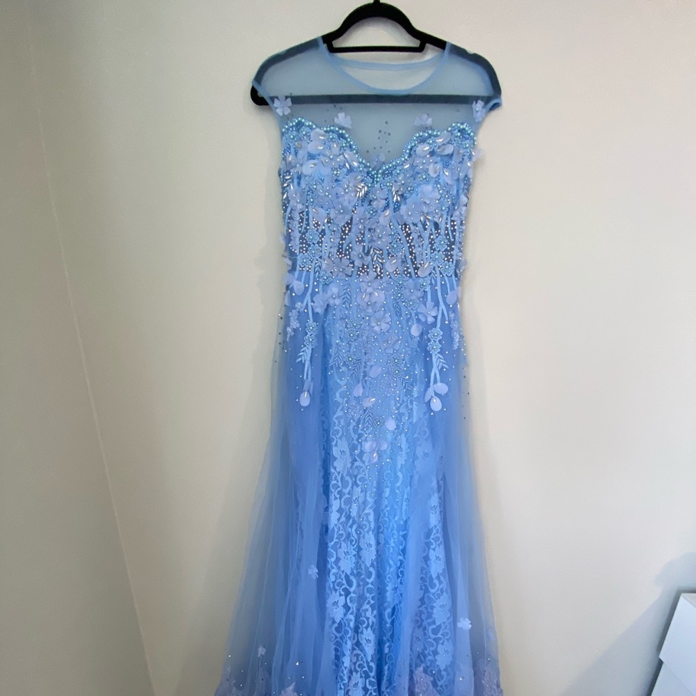 Royal Dream Women’s Wedding And Prom  Net Dress - Picture 3 of 8